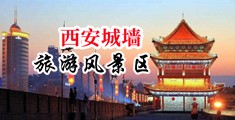 操逼一区二区中国陕西-西安城墙旅游风景区