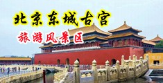 黑人大屌淫水中国北京-东城古宫旅游风景区